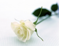 Civil Wedding Package 