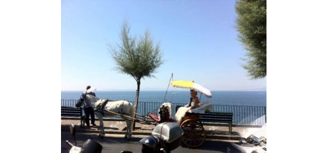 Carrozza con cavalli a Sorrento